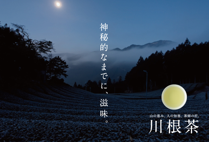“静岡”川根茶