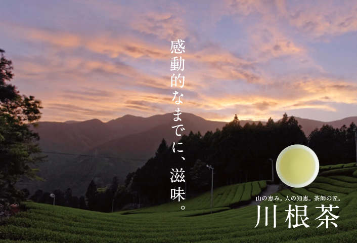 “静岡”川根茶